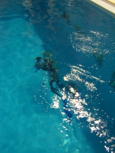 piscina2008-02_20.JPG