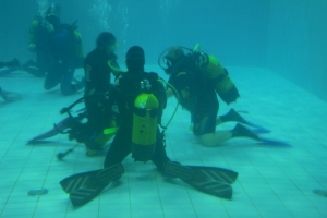 piscina2008_28.jpg