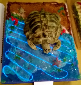 tortissimo2016_11.jpg